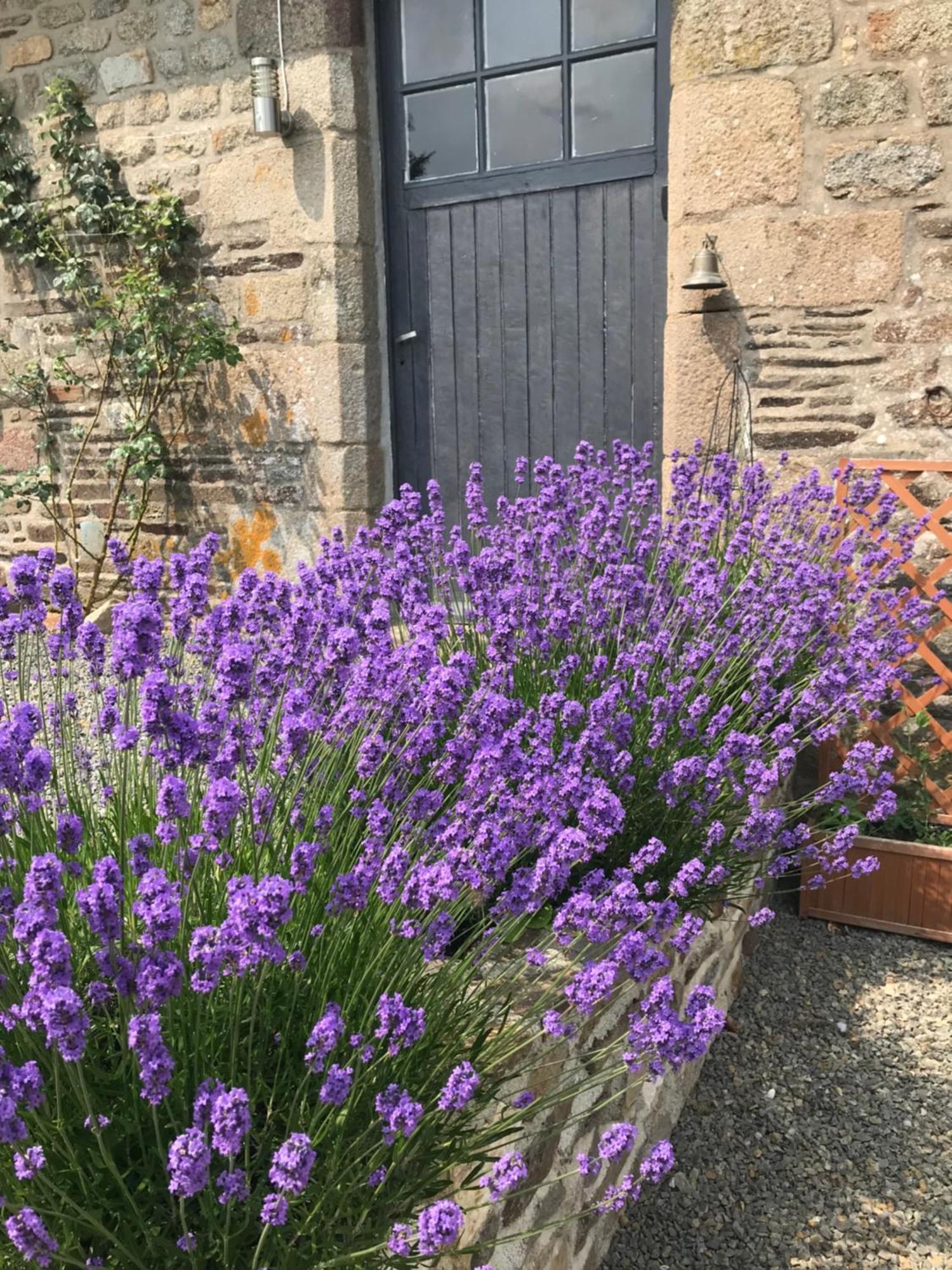 Bed and Breakfast Ferme De Noyes Sourdeval Exterior foto